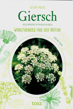 Giersch - Wohltuendes aus der Natur, Martina Tolnai