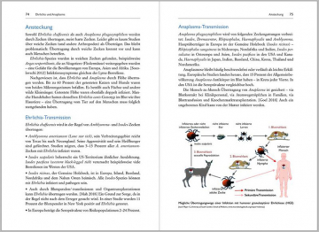 Borreliose Koinfektionen, S. H. Buhner, Dr. E. J. Wormer