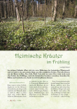 Heil & Kraut 2022 - Nr. 1 (ePaper)